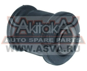 Akitaka 0101057