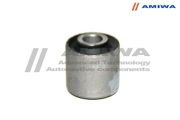 Amiwa 02241243