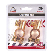 ARNEZI A0103014