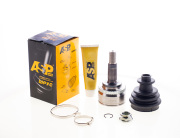 ASP CV160202
