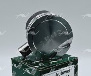 Autowelt PN57131