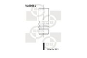 Bga V165651