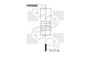 Bga V996002