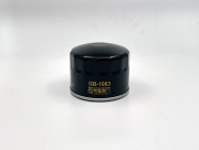 Big filter GB1063