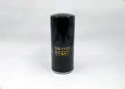 BIG FILTER GB1131