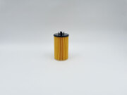 BIG FILTER GB1163