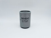 BIG FILTER GB6243