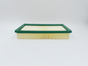 BIG FILTER GB95018