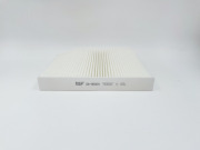 BIG FILTER GB98069