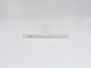 BIG FILTER GB98087