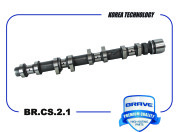 BRAVE BRCS21