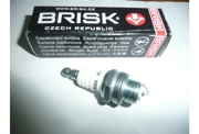 BRISK P15Y