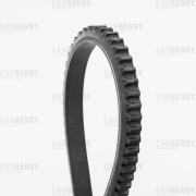 CARBERRY 13X1025