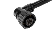 Cargen AX5031