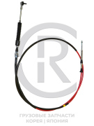CR CR437505A203