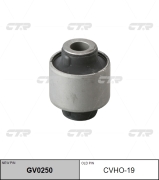 Ctr CVHO19