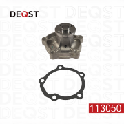 DEQST 113050