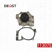 DEQST 113075