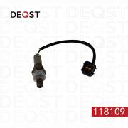 DEQST 118109