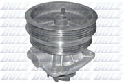 Dolz S216
