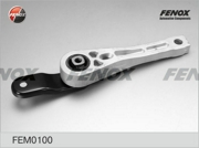 FENOX FEM0100