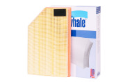 Finwhale AF976