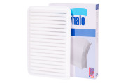 Finwhale AF982