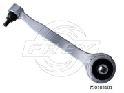 FREY 750103101