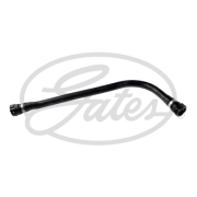 Gates 021754