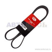 Gates 6PK1560
