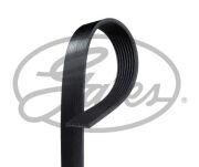 Gates 8PK1610HD