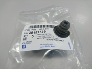 GENERAL MOTORS 25181739