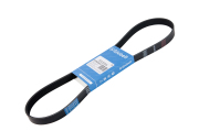 Globelt 6PK1195