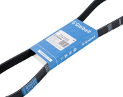 Globelt 6PK698