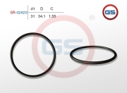 GS SR02620