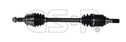 GSP 299288