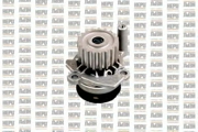 Hepu P655