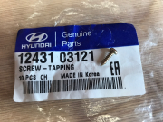 Hyundai-KIA 1243103121