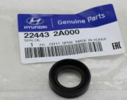 Hyundai-KIA 224432A000