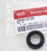 Hyundai-KIA 224432A100