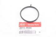 Hyundai-KIA 283132B300
