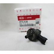 Hyundai-KIA 289103E100