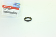 Hyundai-KIA 4313439011