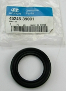 Hyundai-KIA 4524539001
