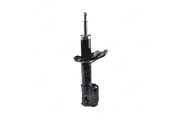 IBERIS IB131017