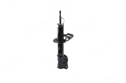 IBERIS IB131065