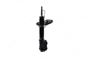 IBERIS IB132002