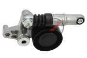 KORTEX KTP2091