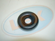 Lex ST0491
