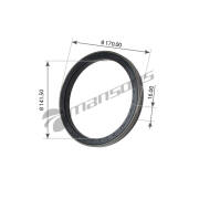 Mansons 100580